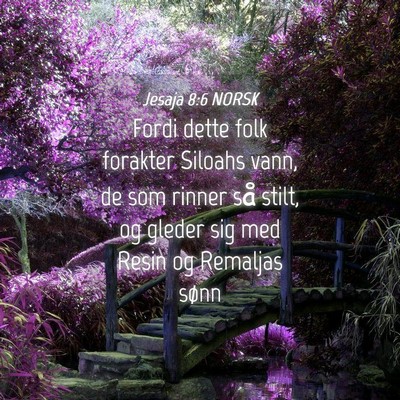 Picture 04 - Jesaja 8:6 NORSK - Fordi dette folk forakter Siloahs vann, de som - Bible Verse Picture