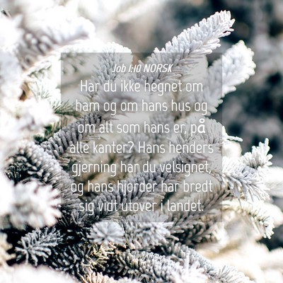 Picture 04 - Job 1:10 NORSK - Har du ikke hegnet om ham og om hans hus og om - Bible Verse Picture