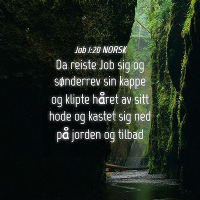 Picture 04 - Job 1:20 NORSK - Da reiste Job sig og sønderrev sin kappe og - Bible Verse Picture