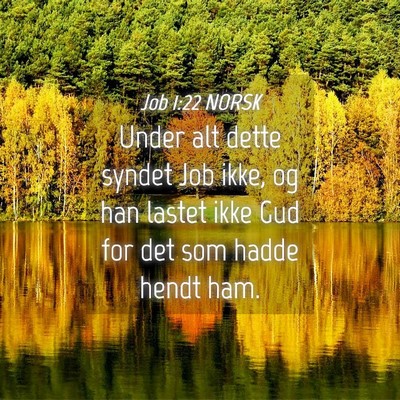 Picture 04 - Job 1:22 NORSK - Under alt dette syndet Job ikke, og han lastet - Bible Verse Picture