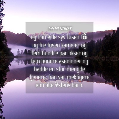 Picture 04 - Job 1:3 NORSK - og han eide syv tusen får og tre tusen kameler - Bible Verse Picture