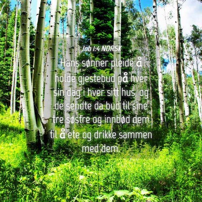 Picture 04 - Job 1:4 NORSK - Hans sønner pleide å holde gjestebud på hver - Bible Verse Picture