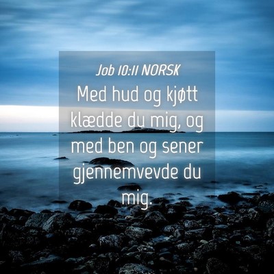 Picture 04 - Job 10:11 NORSK - Med hud og kjøtt klædde du mig, og med ben og - Bible Verse Picture