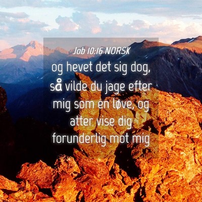 Picture 04 - Job 10:16 NORSK - og hevet det sig dog, så vilde du jage efter mig - Bible Verse Picture