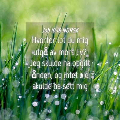 Picture 04 - Job 10:18 NORSK - Hvorfor lot du mig utgå av mors liv? Jeg skulde - Bible Verse Picture