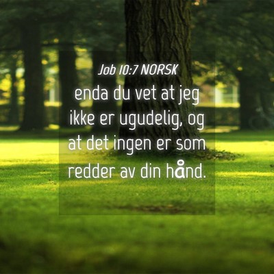 Picture 04 - Job 10:7 NORSK - enda du vet at jeg ikke er ugudelig, og at det - Bible Verse Picture