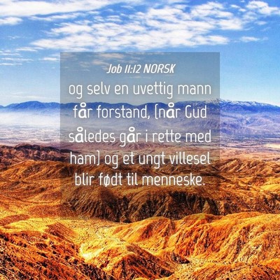 Picture 04 - Job 11:12 NORSK - og selv en uvettig mann får forstand, {når Gud - Bible Verse Picture