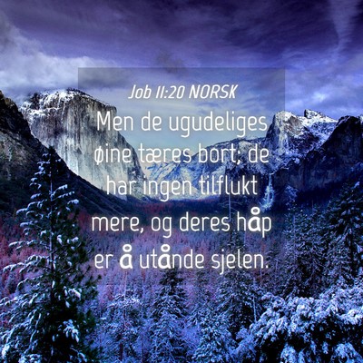 Picture 04 - Job 11:20 NORSK - Men de ugudeliges øine tæres bort; de har ingen - Bible Verse Picture