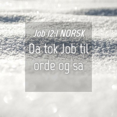 Picture 04 - Job 12:1 NORSK - Da tok Job til orde og - Bible Verse Picture