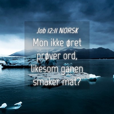 Picture 04 - Job 12:11 NORSK - Mon ikke øret prøver ord, likesom ganen smaker - Bible Verse Picture