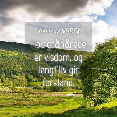 Picture 04 - Job 12:12 NORSK - Hos gråhårede er visdom, og langt liv gir - Bible Verse Picture