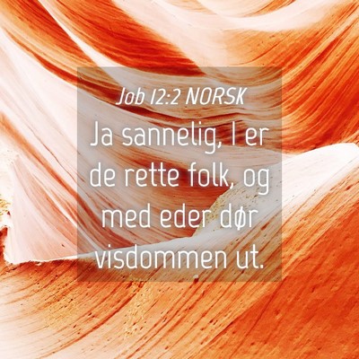 Picture 04 - Job 12:2 NORSK - Ja sannelig, I er de rette folk, og med eder dør - Bible Verse Picture