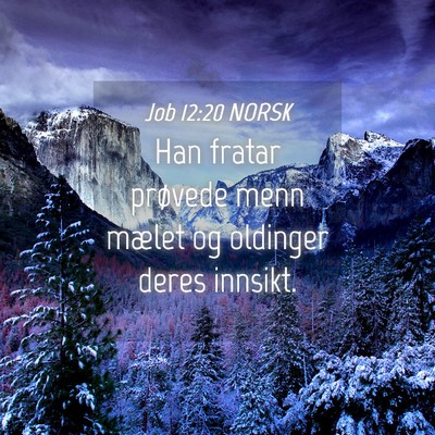 Picture 04 - Job 12:20 NORSK - Han fratar prøvede menn mælet og oldinger deres - Bible Verse Picture