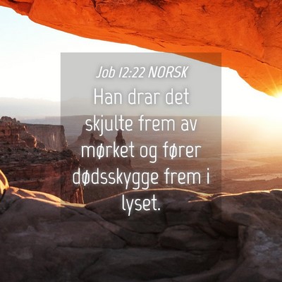 Picture 04 - Job 12:22 NORSK - Han drar det skjulte frem av mørket og fører - Bible Verse Picture