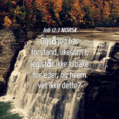 Picture 04 - Job 12:3 NORSK - Også jeg har forstand, likesom I, jeg står ikke - Bible Verse Picture