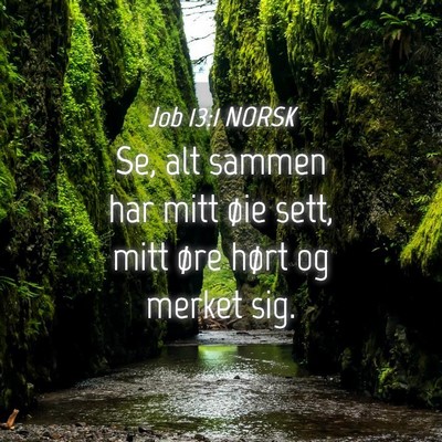 Picture 04 - Job 13:1 NORSK - Se, alt sammen har mitt øie sett, mitt øre - Bible Verse Picture