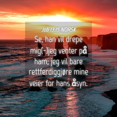 Picture 04 - Job 13:15 NORSK - Se, han vil drepe mig(-)jeg venter på ham; jeg - Bible Verse Picture