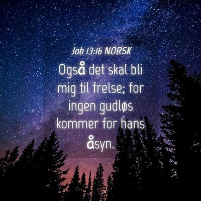 Picture 04 - Job 13:16 NORSK - Også det skal bli mig til frelse; for ingen - Bible Verse Picture