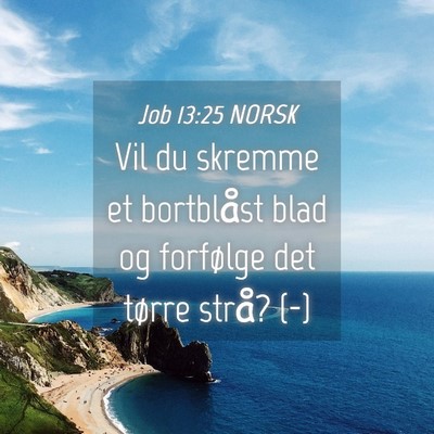 Picture 04 - Job 13:25 NORSK - Vil du skremme et bortblåst blad og forfølge - Bible Verse Picture