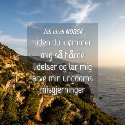 Picture 04 - Job 13:26 NORSK - siden du idømmer mig så hårde lidelser og lar - Bible Verse Picture