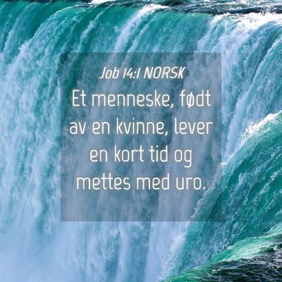Picture 04 - Job 14:1 NORSK - Et menneske, født av en kvinne, lever en kort - Bible Verse Picture