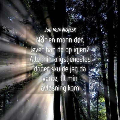 Picture 04 - Job 14:14 NORSK - Når en mann dør, lever han da op igjen? Alle - Bible Verse Picture