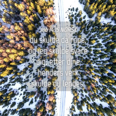 Picture 04 - Job 14:15 NORSK - du skulde da rope, og jeg skulde svare dig; efter - Bible Verse Picture