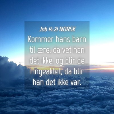Picture 04 - Job 14:21 NORSK - Kommer hans barn til ære, da vet han det ikke, - Bible Verse Picture