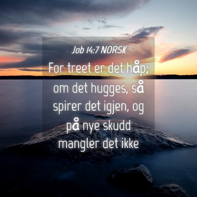 Picture 04 - Job 14:7 NORSK - For treet er det håp; om det hugges, så spirer - Bible Verse Picture