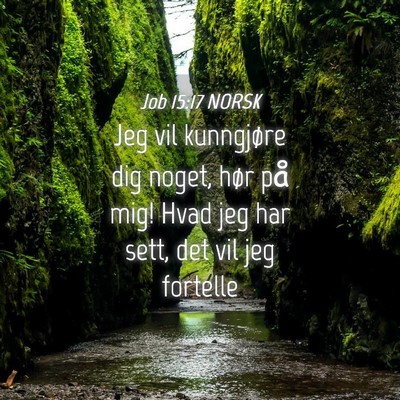 Picture 04 - Job 15:17 NORSK - Jeg vil kunngjøre dig noget, hør på mig! Hvad - Bible Verse Picture