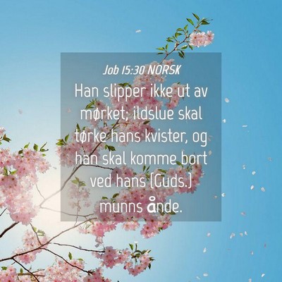 Picture 04 - Job 15:30 NORSK - Han slipper ikke ut av mørket; ildslue skal - Bible Verse Picture
