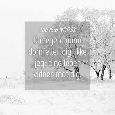 Picture 04 - Job 15:6 NORSK - Din egen munn domfeller dig, ikke jeg; dine leber - Bible Verse Picture