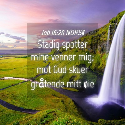 Picture 04 - Job 16:20 NORSK - Stadig spotter mine venner mig; mot Gud skuer - Bible Verse Picture