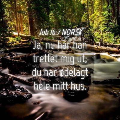Picture 04 - Job 16:7 NORSK - Ja, nu har han trettet mig ut; du har ødelagt - Bible Verse Picture