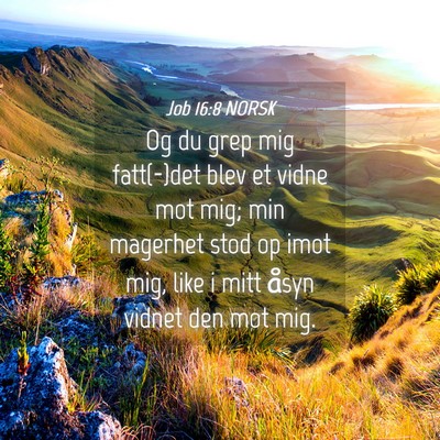 Picture 04 - Job 16:8 NORSK - Og du grep mig fatt(-)det blev et vidne mot mig; - Bible Verse Picture