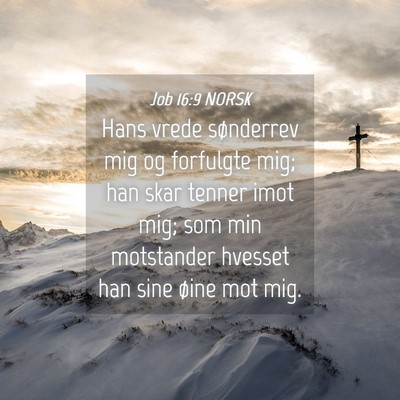 Picture 04 - Job 16:9 NORSK - Hans vrede sønderrev mig og forfulgte mig; han - Bible Verse Picture