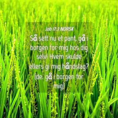 Picture 04 - Job 17:3 NORSK - Så sett nu et pant, gå i borgen for mig hos dig - Bible Verse Picture