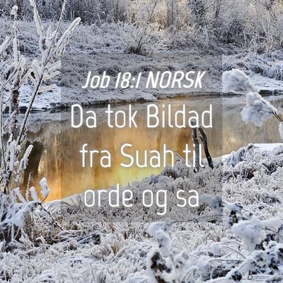 Picture 04 - Job 18:1 NORSK - Da tok Bildad fra Suah til orde og - Bible Verse Picture