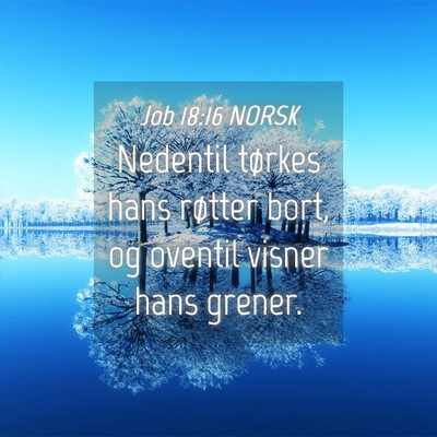 Picture 04 - Job 18:16 NORSK - Nedentil tørkes hans røtter bort, og oventil - Bible Verse Picture