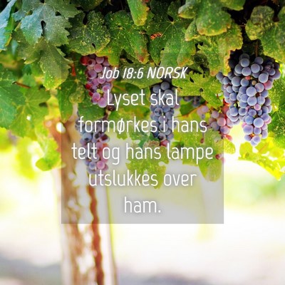 Picture 04 - Job 18:6 NORSK - Lyset skal formørkes i hans telt og hans lampe - Bible Verse Picture