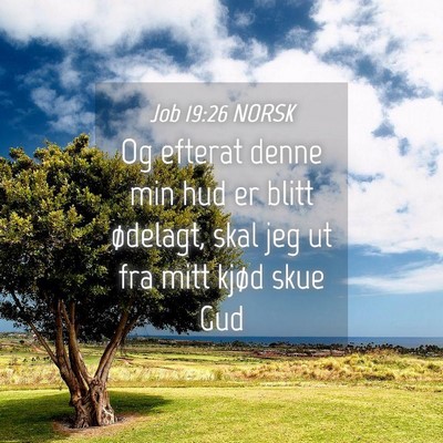 Picture 04 - Job 19:26 NORSK - Og efterat denne min hud er blitt ødelagt, skal - Bible Verse Picture