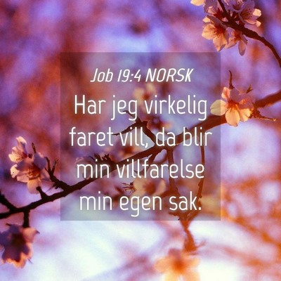 Picture 04 - Job 19:4 NORSK - Har jeg virkelig faret vill, da blir min - Bible Verse Picture