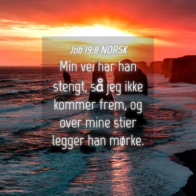 Picture 04 - Job 19:8 NORSK - Min vei har han stengt, så jeg ikke kommer frem, - Bible Verse Picture