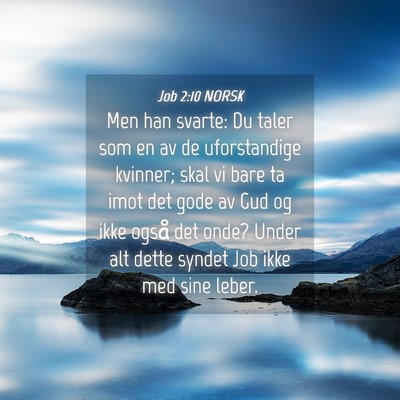 Picture 04 - Job 2:10 NORSK - Men han svarte: Du taler som en av de - Bible Verse Picture