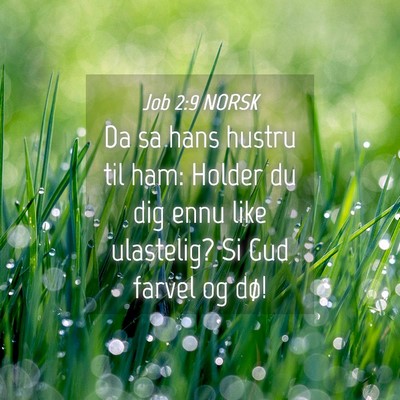 Picture 04 - Job 2:9 NORSK - Da sa hans hustru til ham: Holder du dig ennu - Bible Verse Picture