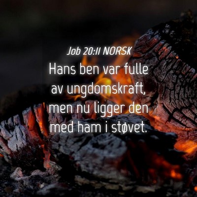 Picture 04 - Job 20:11 NORSK - Hans ben var fulle av ungdomskraft, men nu ligger - Bible Verse Picture