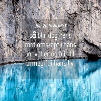 Picture 04 - Job 20:14 NORSK - så blir dog hans mat omskapt i hans innvoller og - Bible Verse Picture