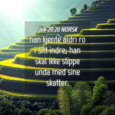 Picture 04 - Job 20:20 NORSK - han kjente aldri ro i sitt indre; han skal ikke - Bible Verse Picture