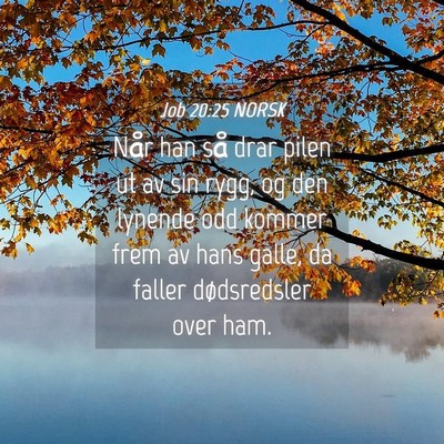 Picture 04 - Job 20:25 NORSK - Når han så drar pilen ut av sin rygg, og den - Bible Verse Picture