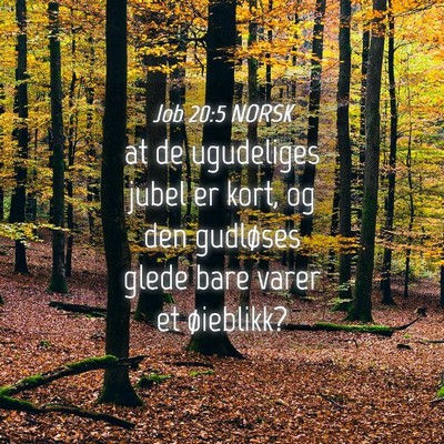 Picture 04 - Job 20:5 NORSK - at de ugudeliges jubel er kort, og den gudløses - Bible Verse Picture